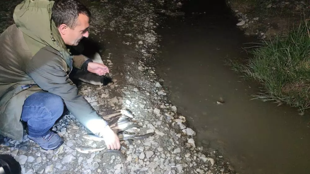 Van'da kaçak avlanmış 100 kilo canlı balık suya bırakıldı Görseli