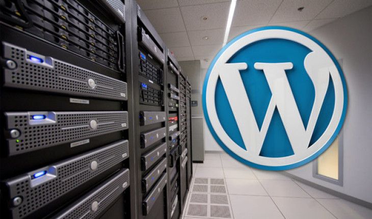 WORDPRESS HOSTİNG Görseli