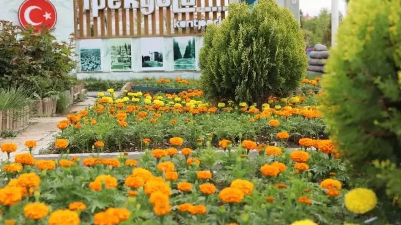 İpekyolu’nda çiçekler toprakla buluşturuluyor Görseli