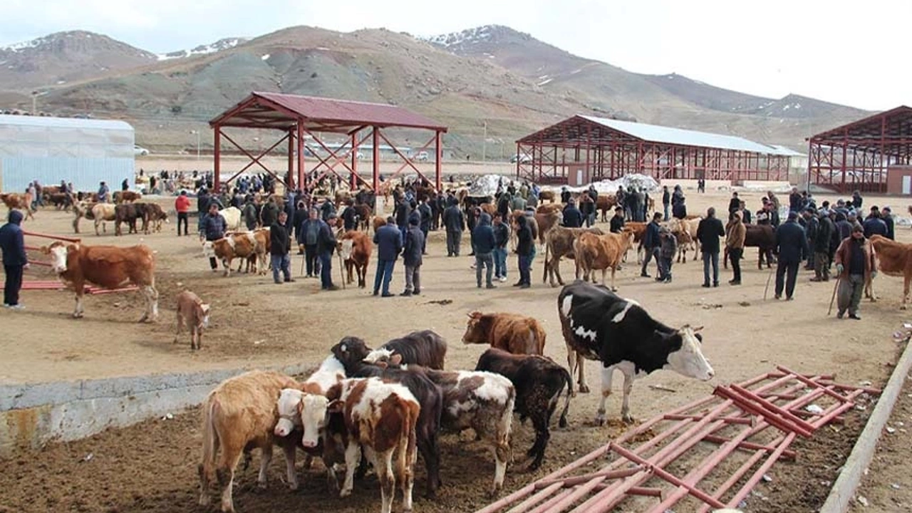 Van'daki Kurban Kesim Alanları Belli Oldu Görseli