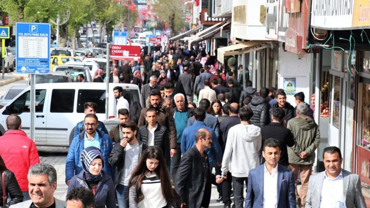 Van’ın genç nüfus sayısı belli oldu Görseli