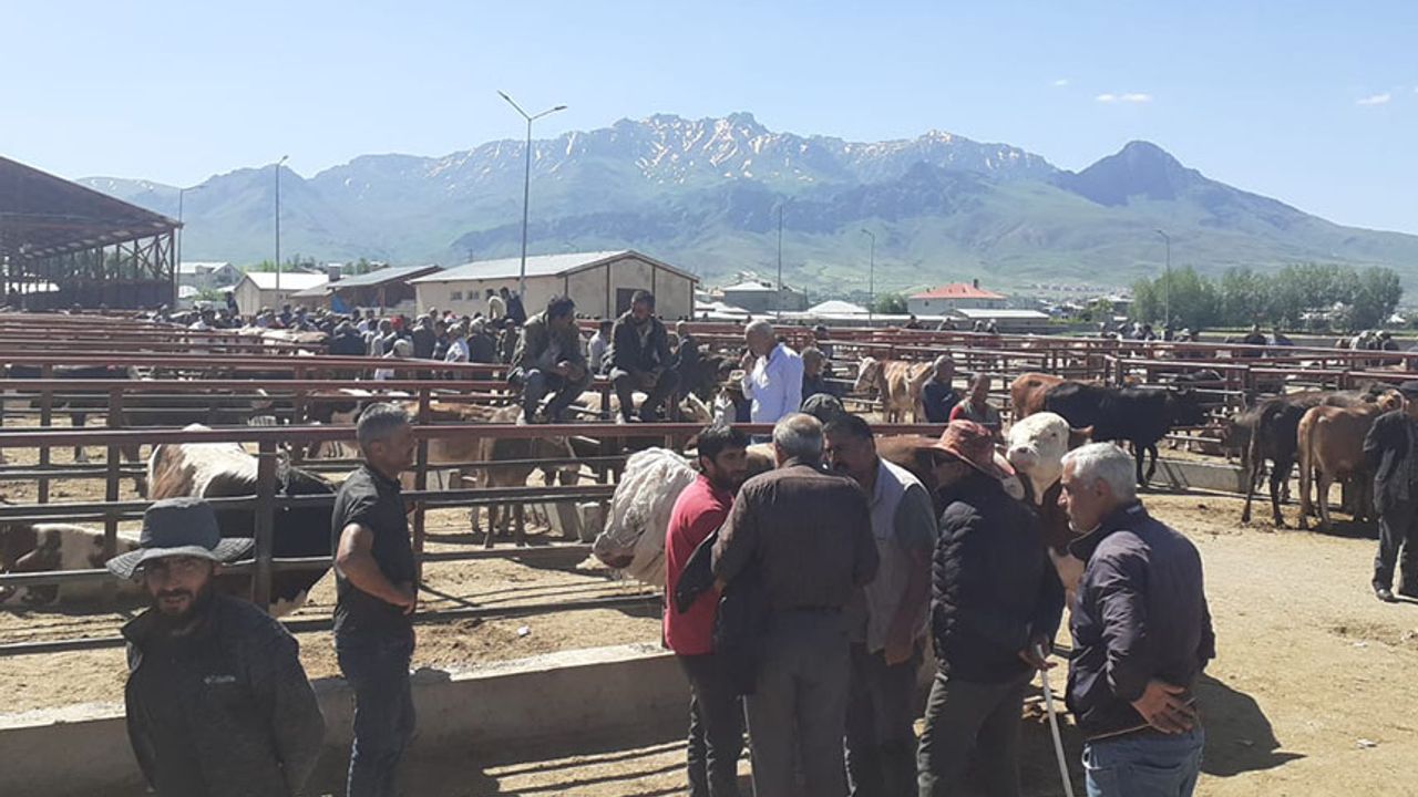 Van’da kurbanlık satışlarında durgunluk hakim Görseli