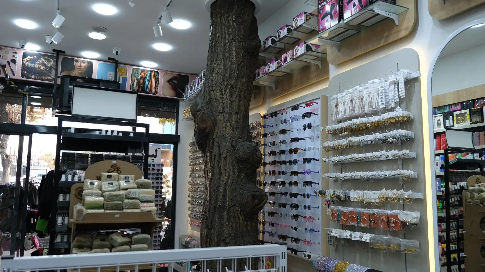 Van’da mağaza içindeki asırlık ağaç ilgi odağı oldu Görseli
