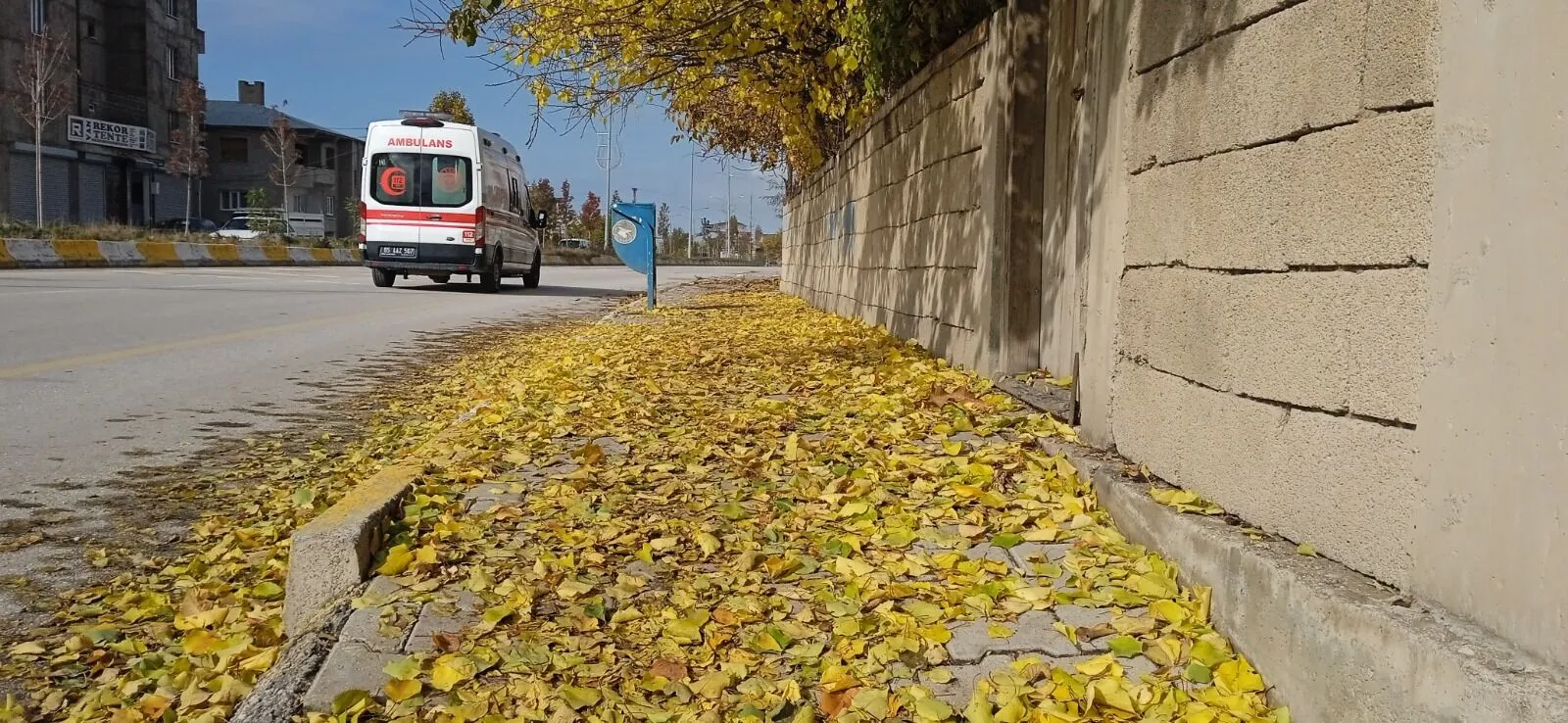 Van sokaklarında sonbahar güzellikleri Görseli