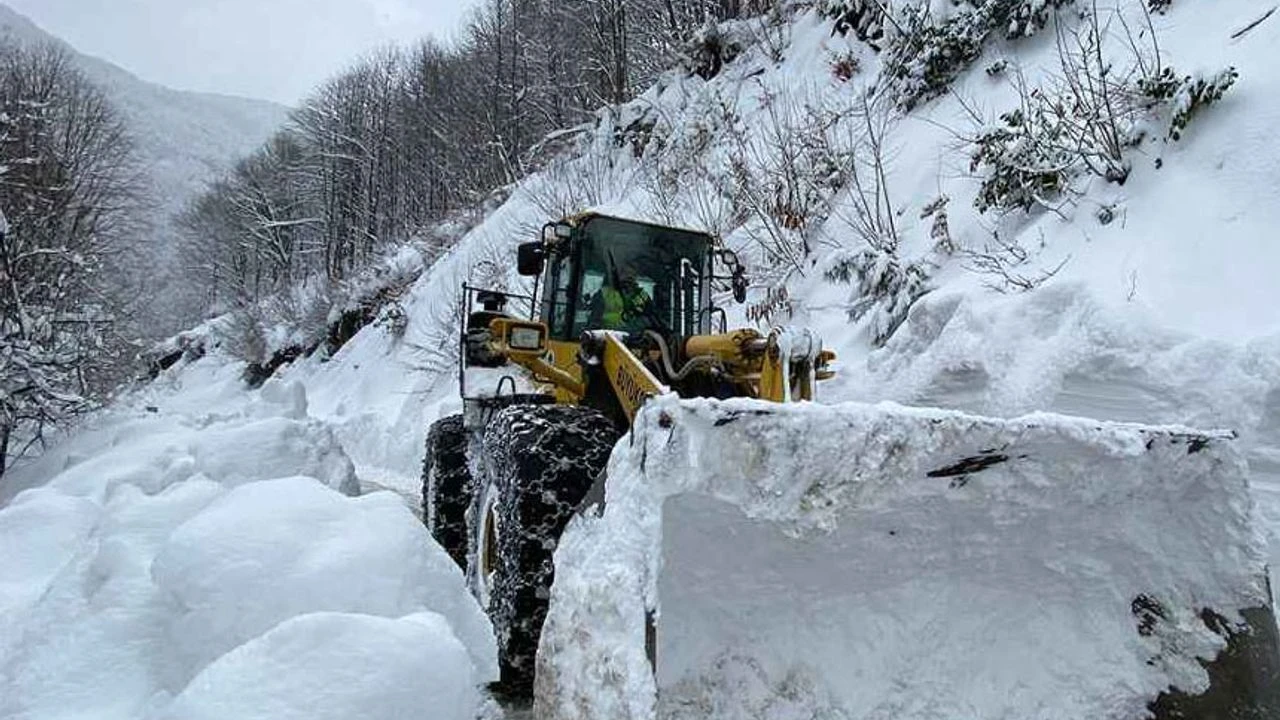 Van'da kar yağışı hayatı olumsuz etkiliyor! Görseli