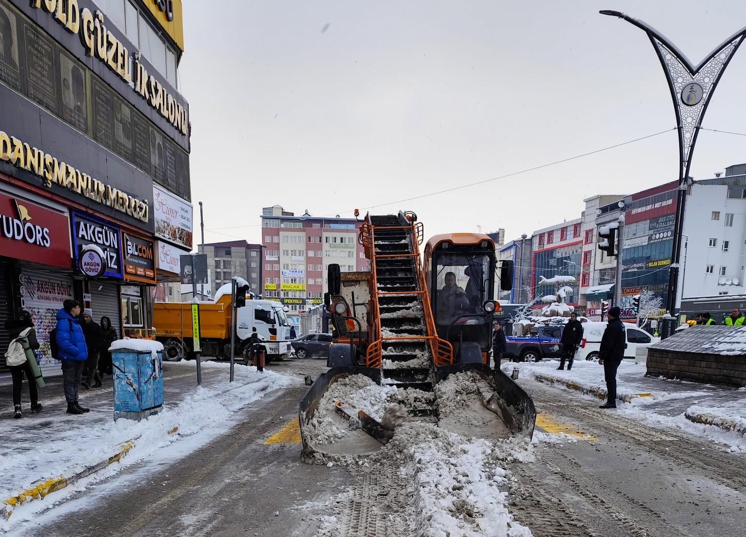 Van genelinde karla mücadele çalışması Görseli