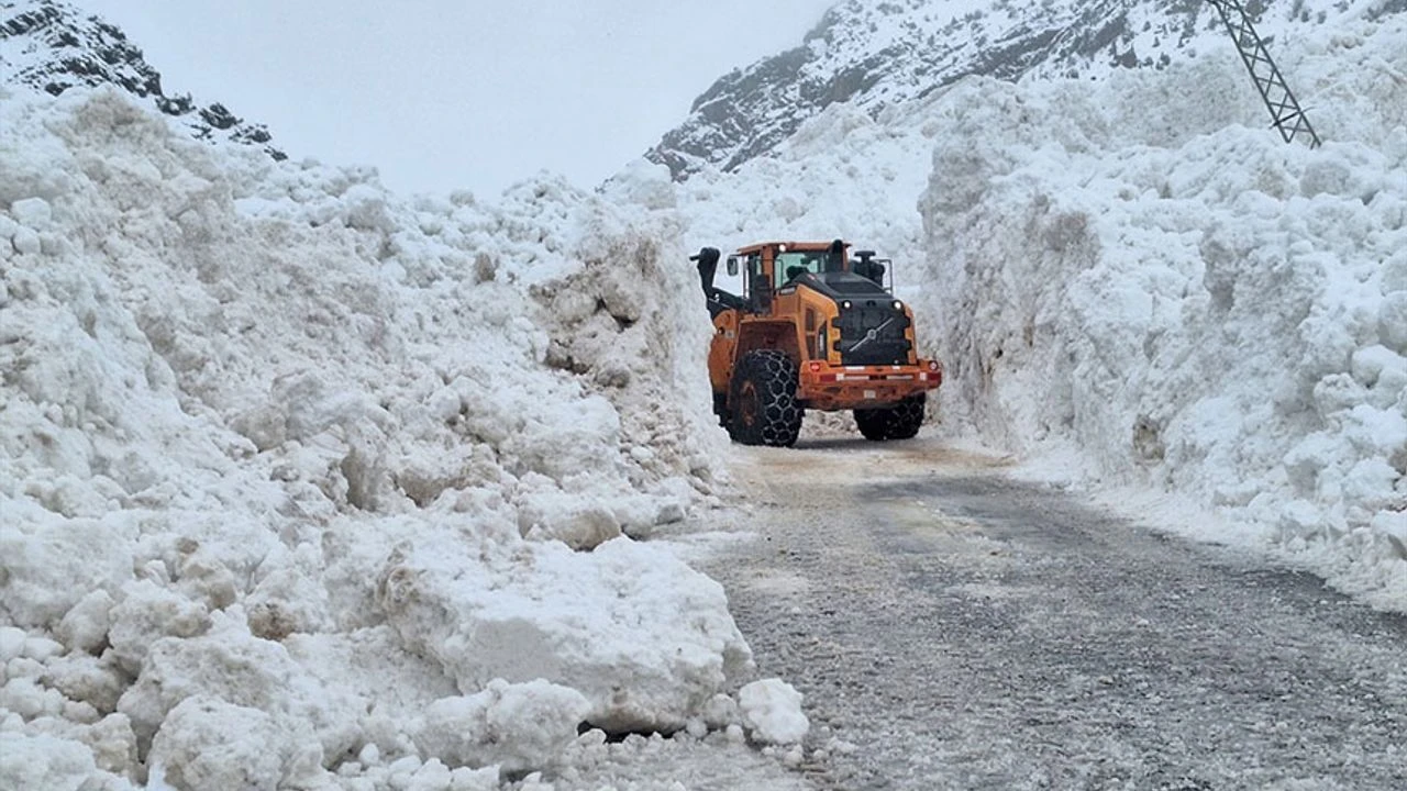 Kar Van’da etkili oldu: 493 yol ulaşıma kapandı Görseli