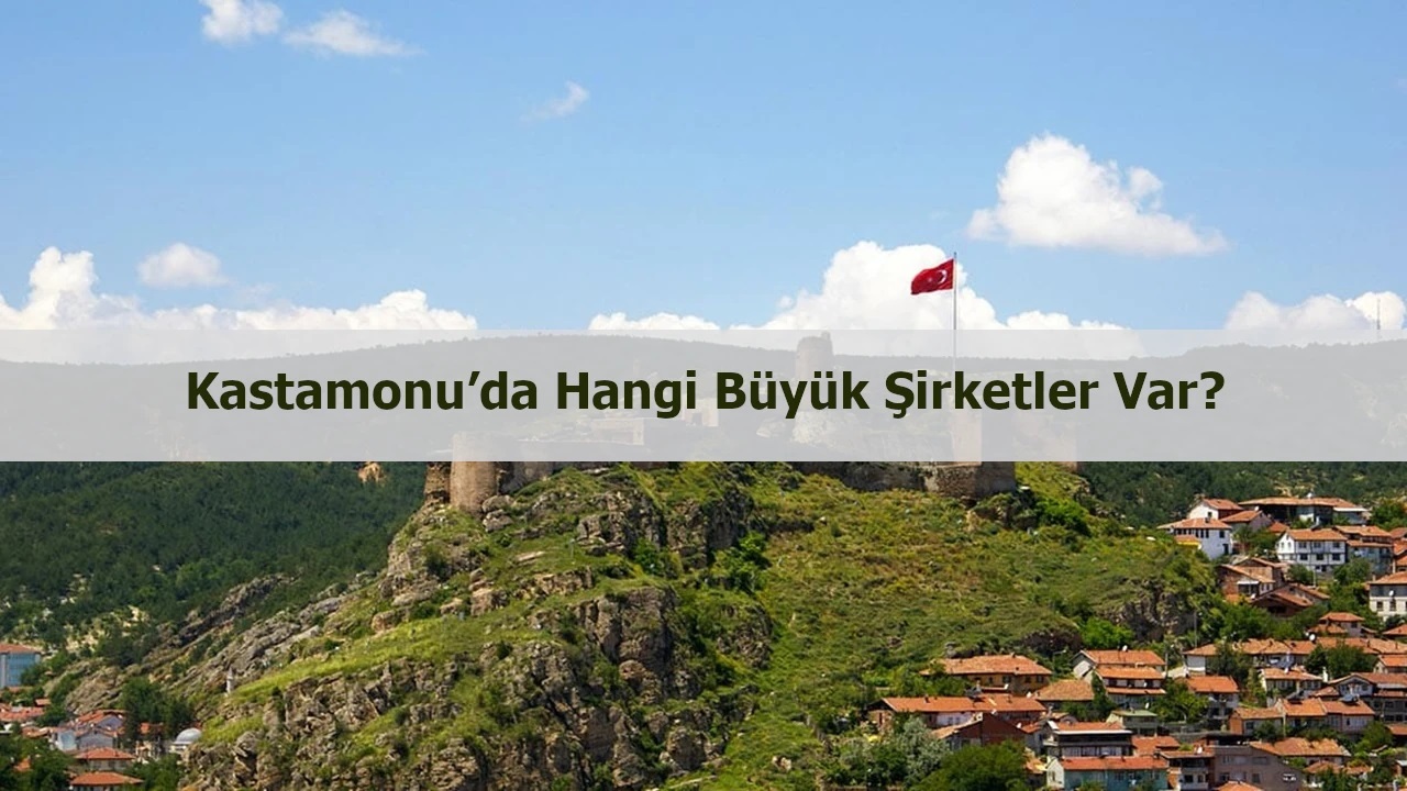 Kastamonu’da hangi büyük şirketler var? Görseli