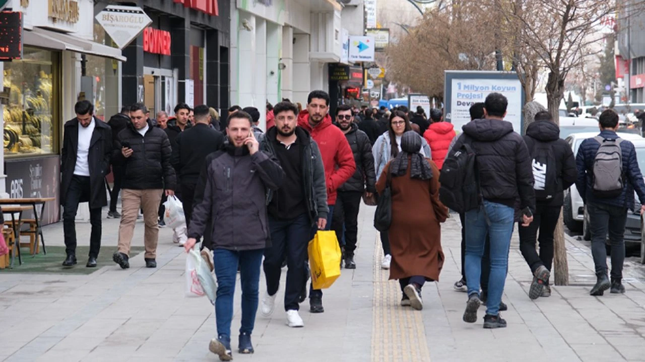 TRB2 Bölgesi Erkek İstihdamında Dibe Vurdu: Van, Muş, Bitlis, Hakkâri Görseli
