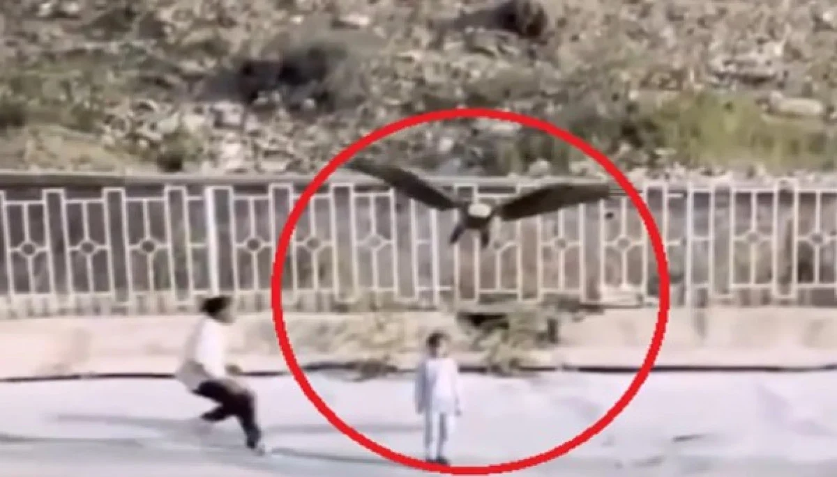 İran'da Kel Kartalın Küçük Kızı Kaçırmaya Çalıştığı Anlar Şok Etti Görseli