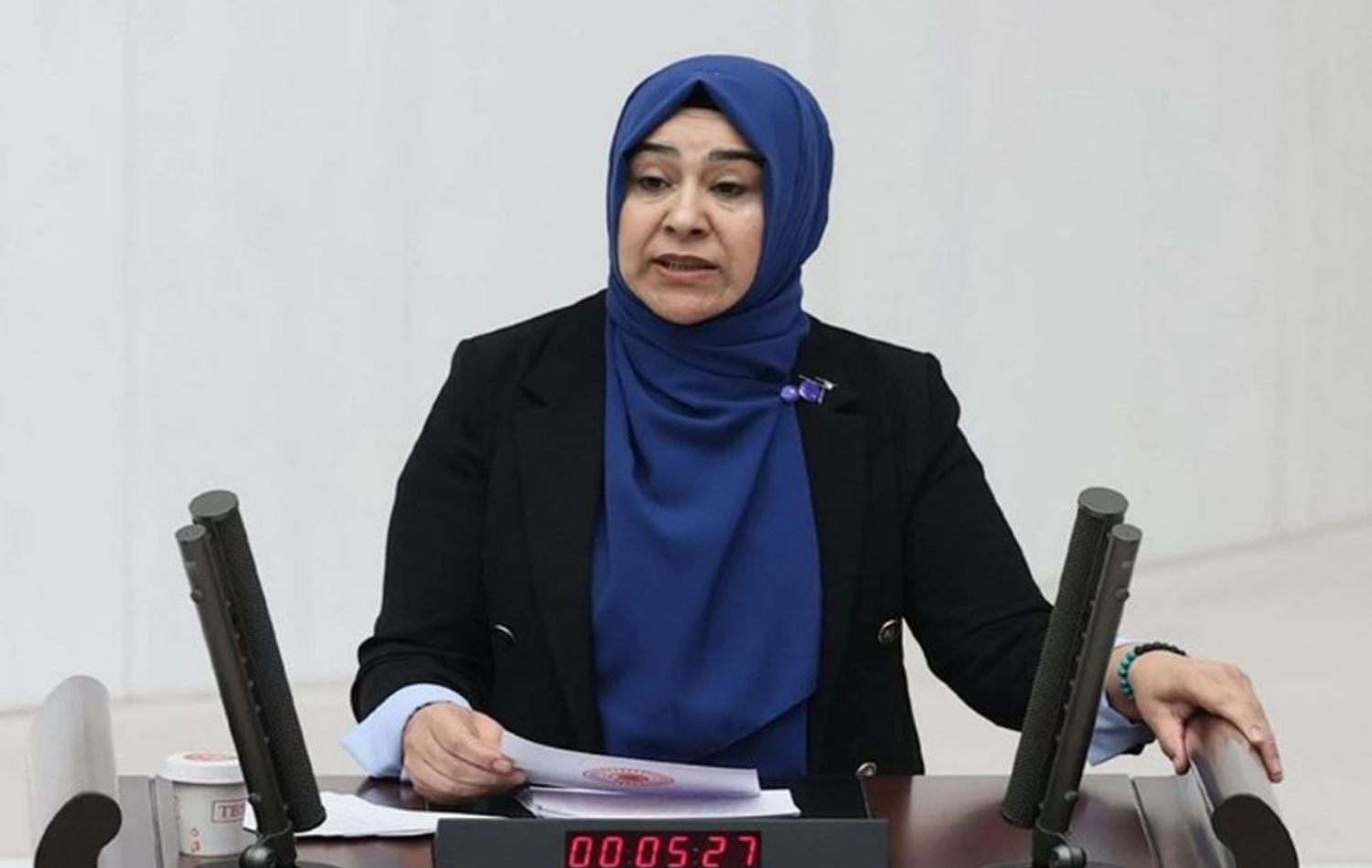 Van Milletvekili Gülderen Varlı’dan Meclis’e Çağrı: Çocuk Yoksulluğu Araştırılsın! Görseli