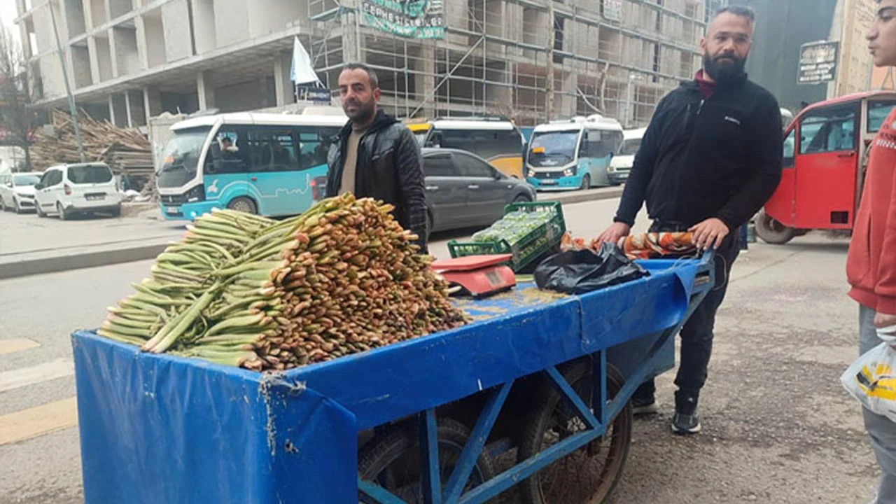 Baharın Müjdecisi Uçkun Van Tezgâhlarında Yerini Aldı Görseli