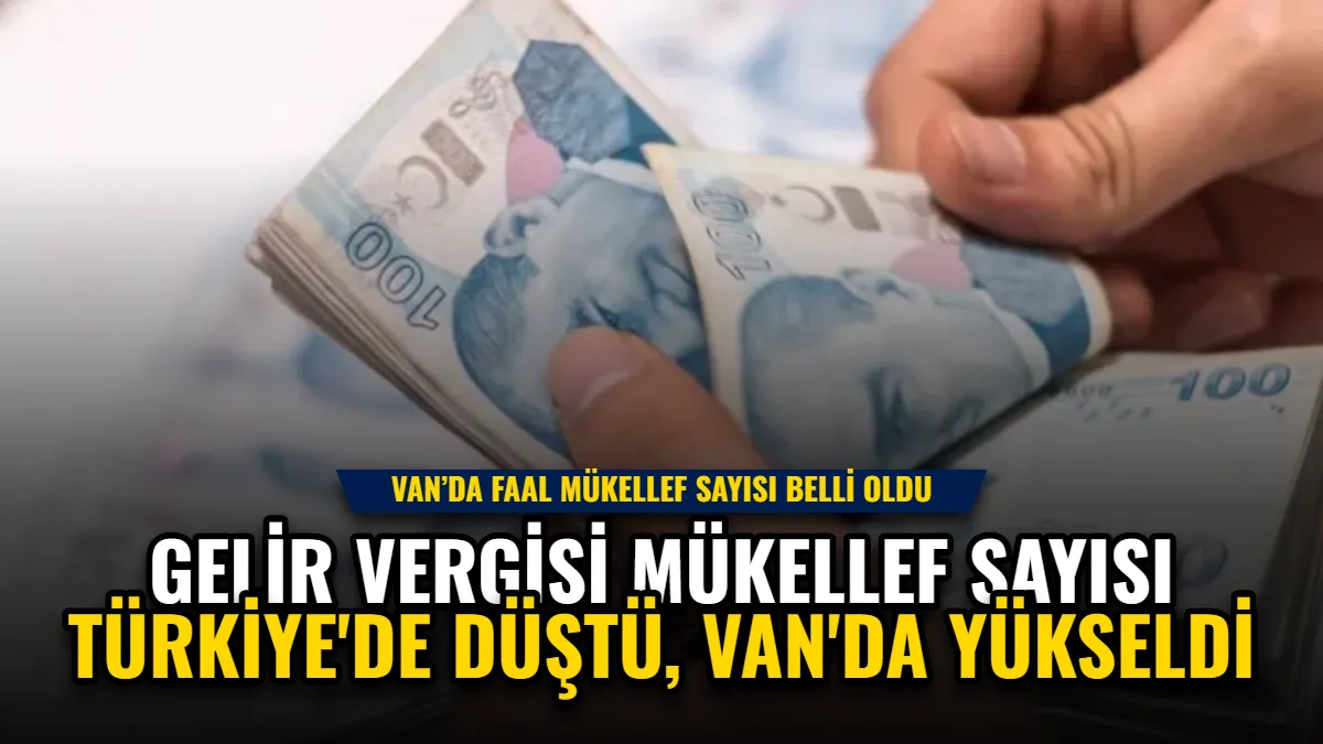 Gelir Vergisi Mükellef Sayısı Türkiye'de Düştü, Van'da Yükseldi Görseli