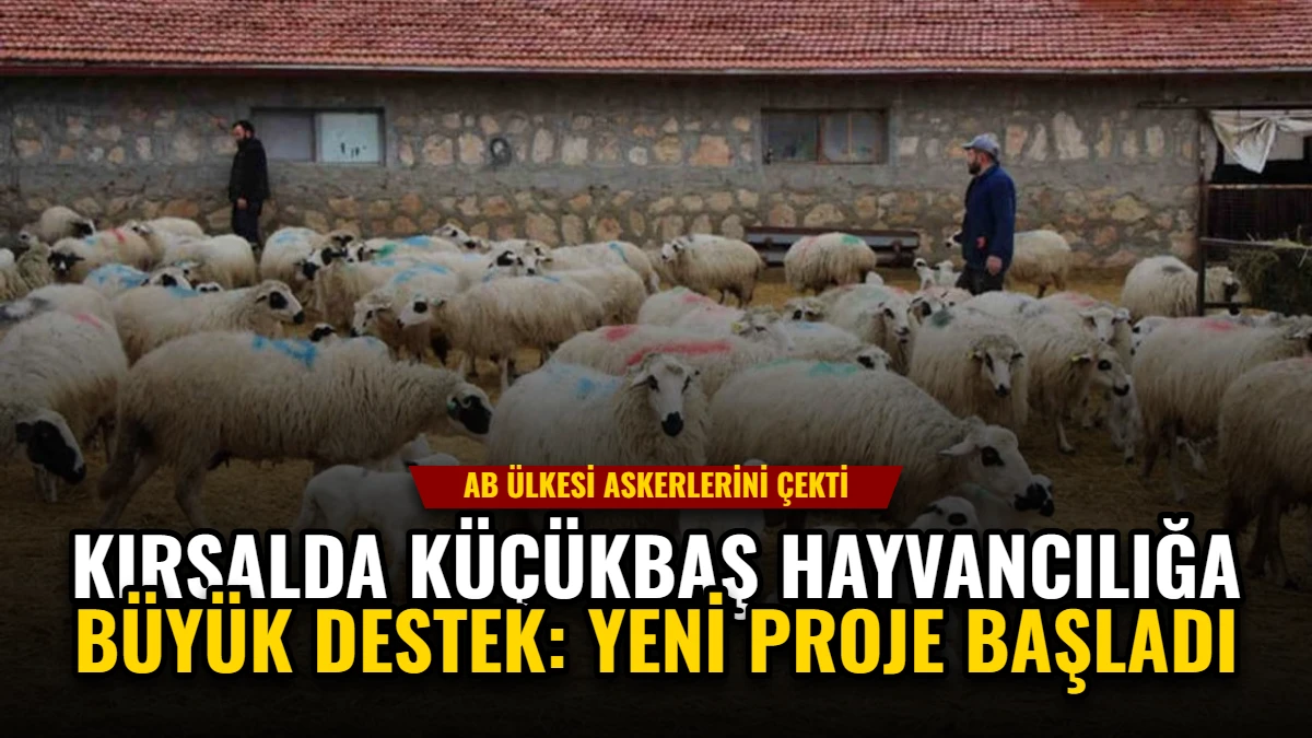 Kırsalda Küçükbaş Hayvancılığa Büyük Destek: Yeni Proje Başladı Görseli