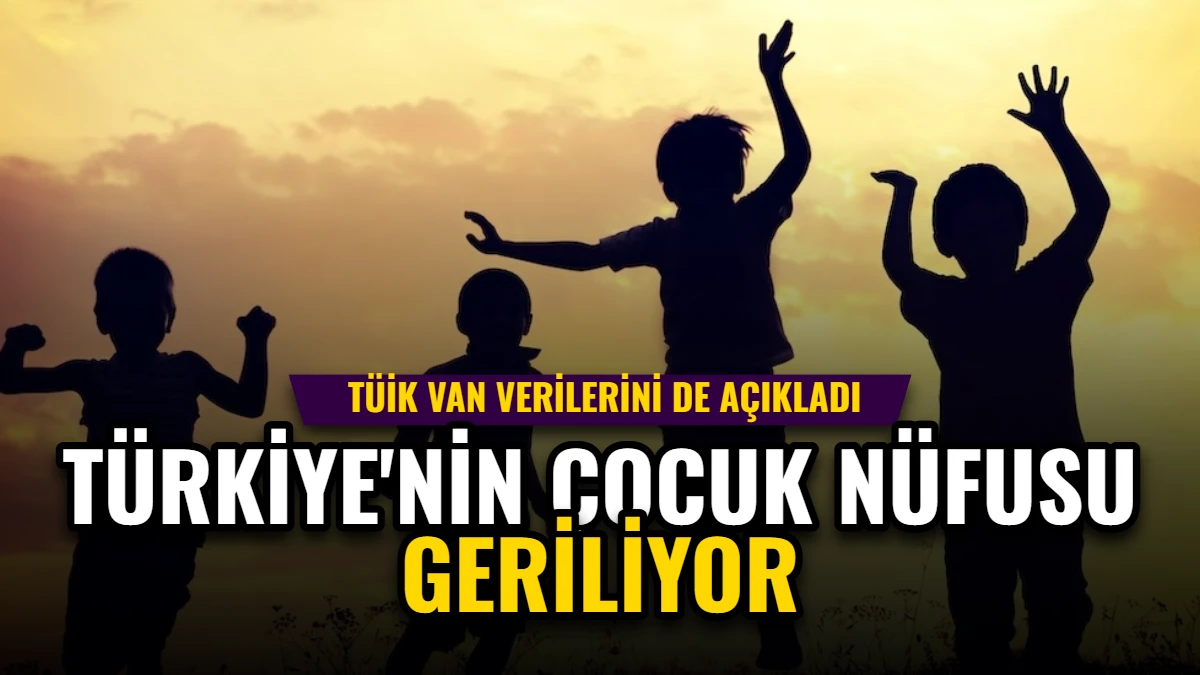 Türkiye'nin Çocuk Nüfusu Geriliyor: TÜİK Van Verilerini de Açıkladı Görseli