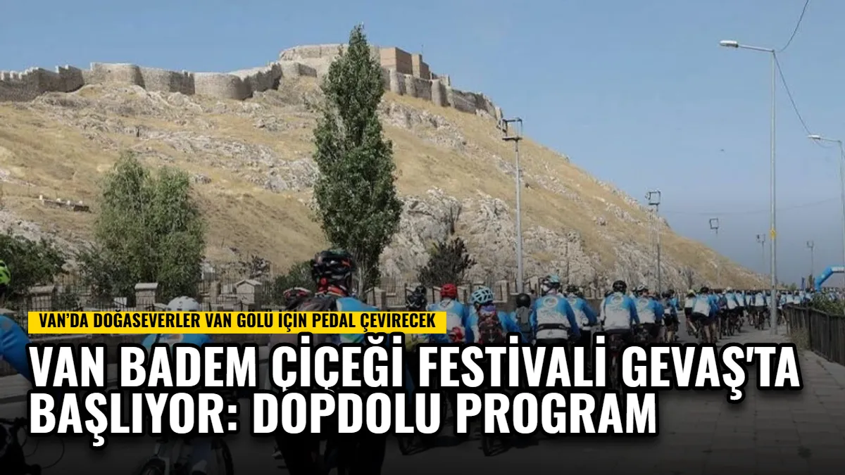 Van Badem Çiçeği Festivali Gevaş'ta Başlıyor: Dopdolu Program Görseli