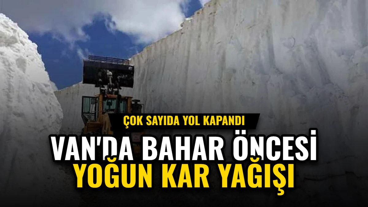 Van'da Bahar Öncesi Yoğun Kar Yağışı: Çok Sayıda Yol Kapandı Görseli