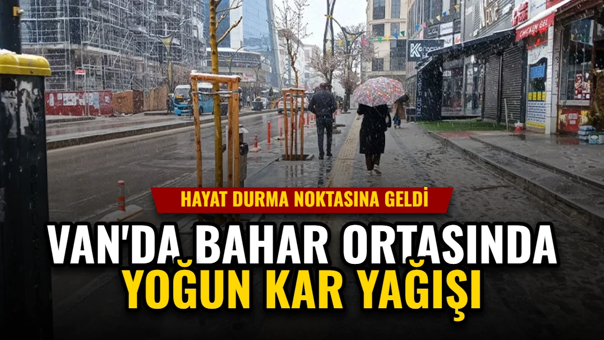 Van'da Bahar Ortasında Yoğun Kar Yağışı: Hayat Durma Noktasına Geldi Görseli