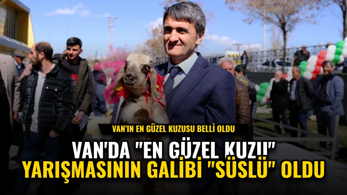 Van'da "En Güzel Kuzu" Yarışmasının Galibi "Süslü" Oldu Görseli