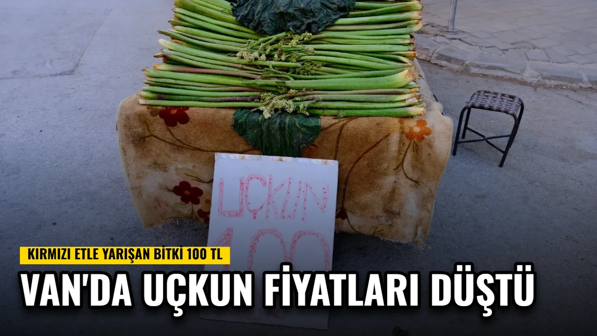 Van'da Uçkun Fiyatları Düştü: Kırmızı Etle Yarışan Bitki 100 TL Görseli