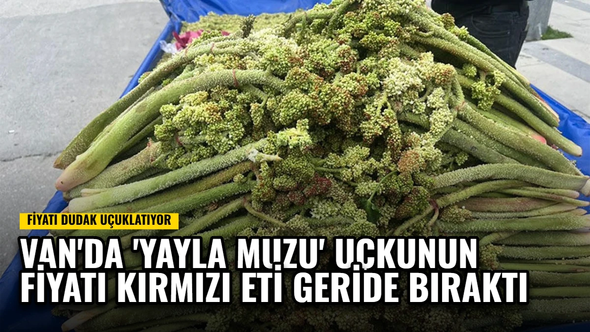 Van'da 'Yayla Muzu' Uçkunun Fiyatı Kırmızı Eti Geride Bıraktı Görseli