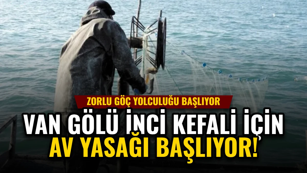 Van Gölü İnci Kefali İçin Av Yasağı Başlıyor: Koruma Süreci Görseli