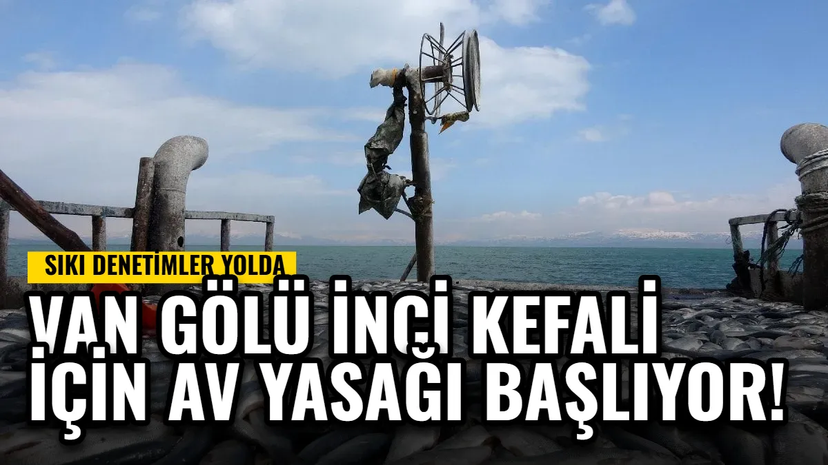 Van Gölü İnci Kefali İçin Av Yasağı Başlıyor: Sıkı Denetimler Yolda Görseli