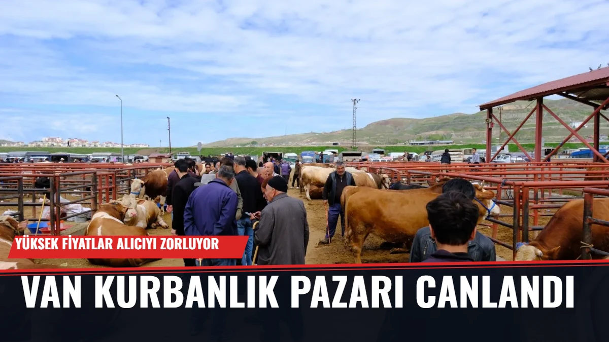 Van Kurbanlık Pazarı Canlandı: Yüksek Fiyatlar Alıcıyı Zorluyor Görseli