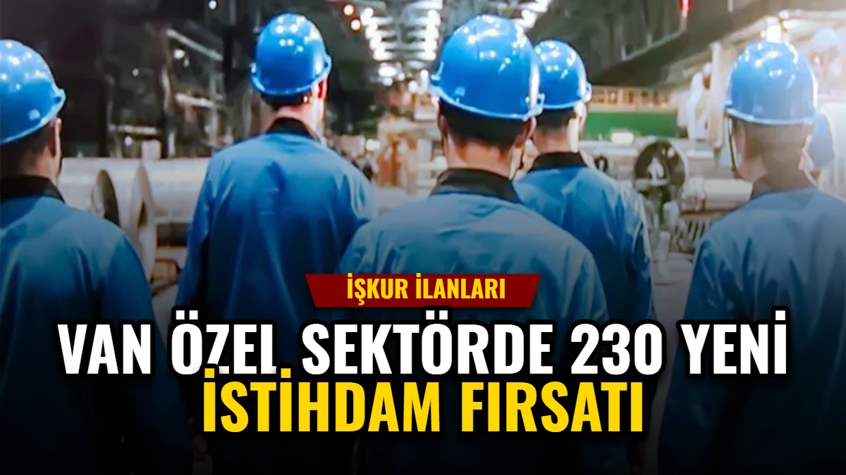 Van Özel Sektörde 230 Yeni İstihdam Fırsatı: İşkur İlanları Görseli