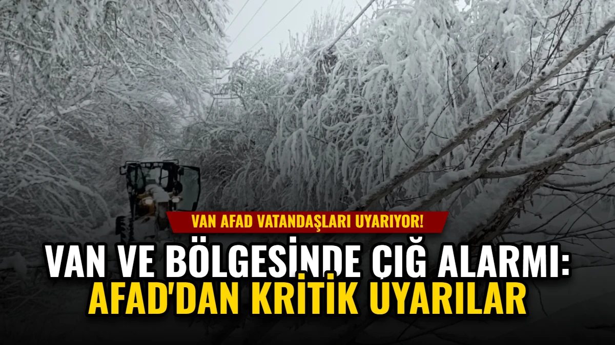 Van ve Bölgesinde Çığ Alarmı: AFAD'dan Kritik Uyarılar Görseli