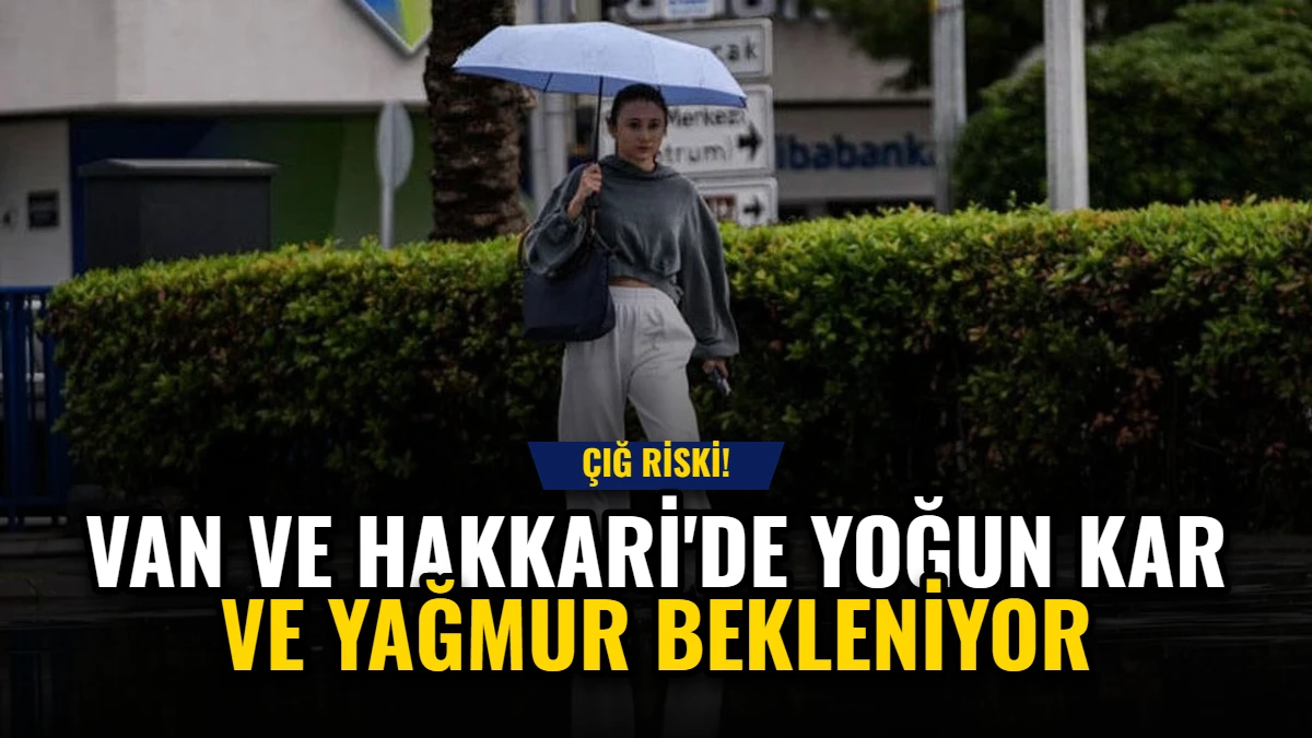 Van ve Hakkari'de Yoğun Kar ve Yağmur Bekleniyor: Çığ Riski! Görseli