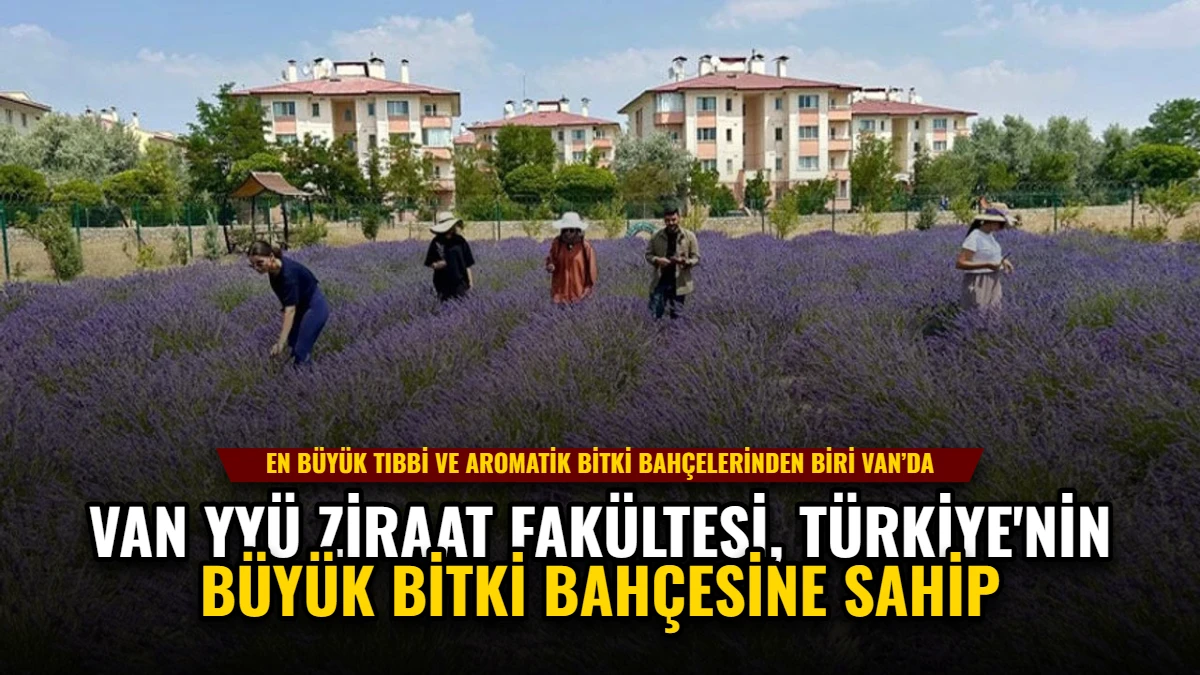 Van YYÜ Ziraat Fakültesi, Türkiye'nin Büyük Bitki Bahçesine Sahip Görseli